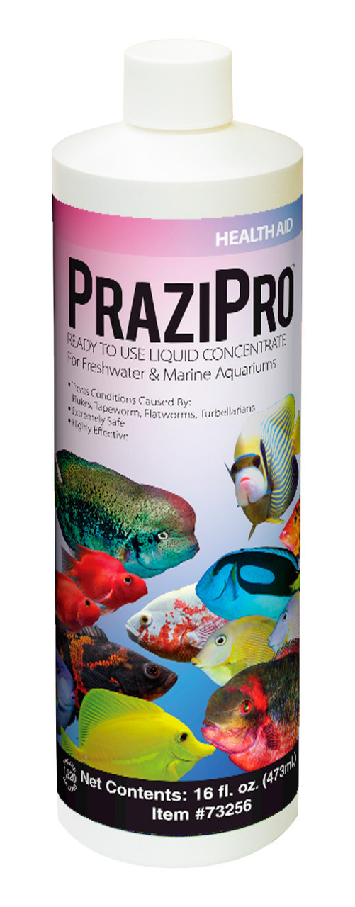Hikari PRAZIPRO 16 fl. oz. 水質調整剤 Hikari PraziPro Parasite Treatment, 16 oz. - AquaCave.com | AquaCave