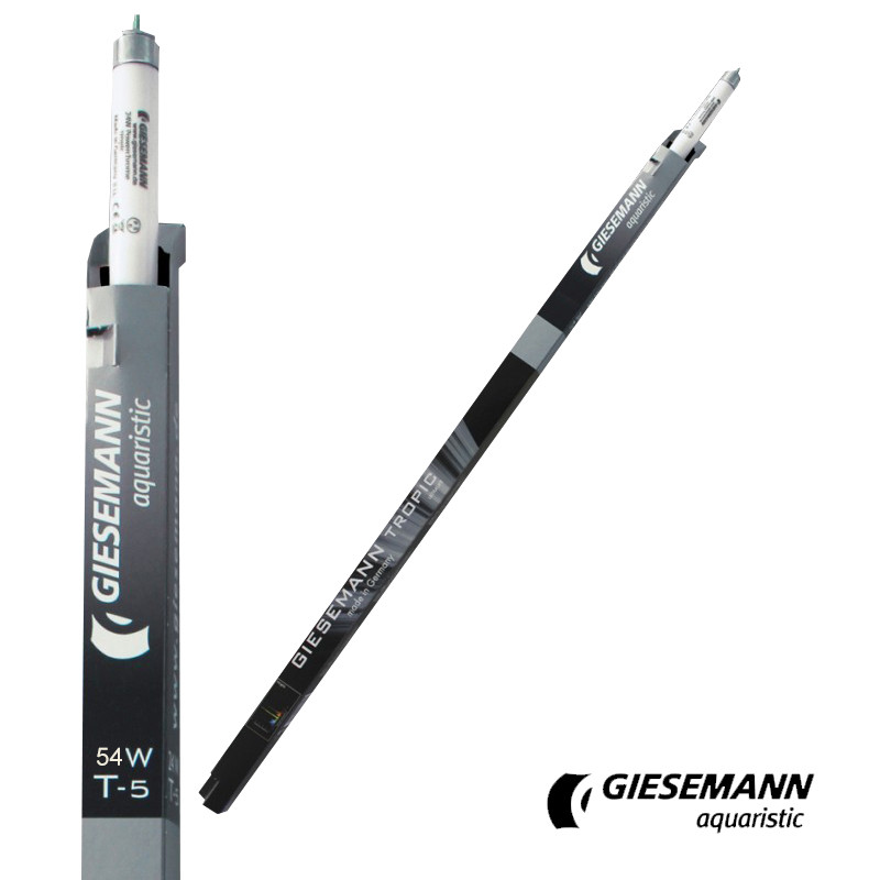 Giesemann 48