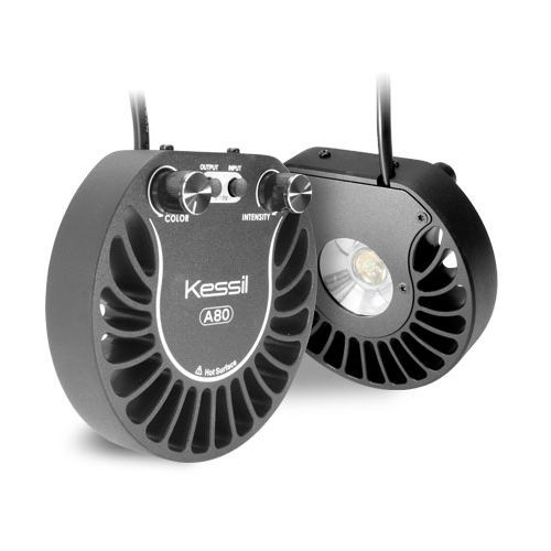 Kessil A80 Tuna Blue LED - AquaCave.com | AquaCave