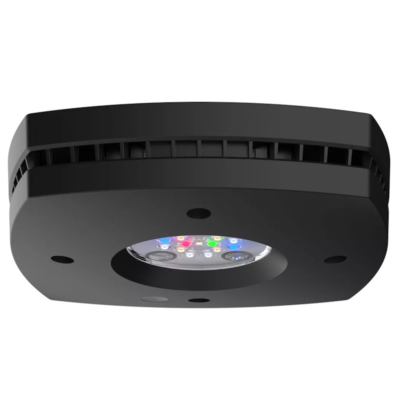 AI Prime 16 HD Freshwater LED Module - Black - AquaIllumination