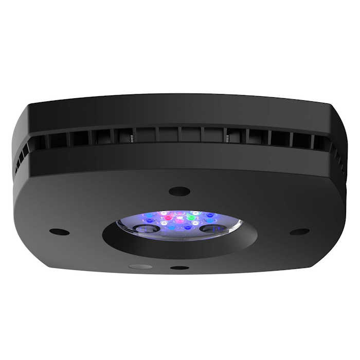 AI PRIME 26HD(プライムＨＤ）ブラック 海水槽用ＬＥＤライト AI Prime 16 HD Reef LED Module - Black - AquaIllumination