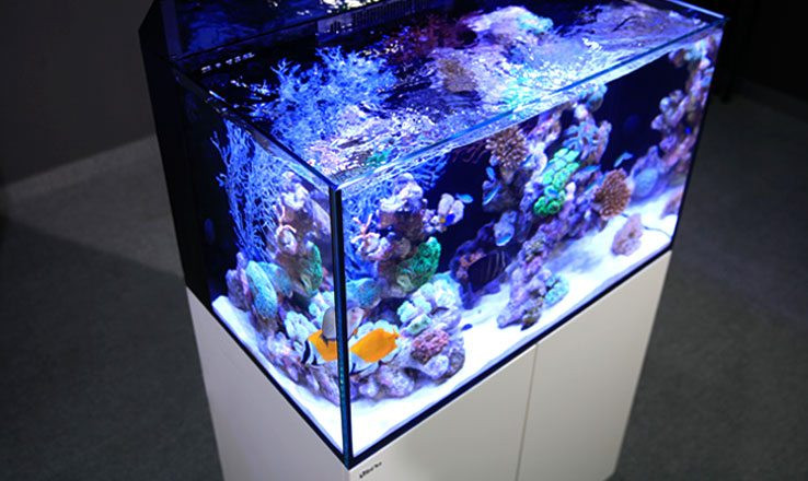 Red Sea Max E 170 Led Reef Complete AIO System, 45 Gal. - White