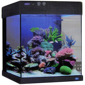 水槽 johnleeknb JBJ 10 gal. Cubey Aquarium - Black - AquaCave.com | AquaCave