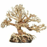 ZooMed Dragon Bonsai Trees