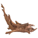 Malaysian Driftwood