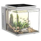 Maxspect Aquariums