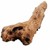 African Mopani Wood