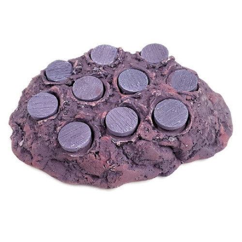 Ocean Wonders Frag Hub 10.0 - Purple