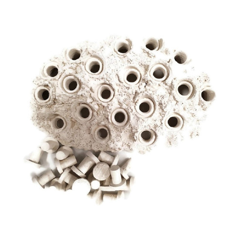 Ocean Wonders Frag Hub 20.0 - White