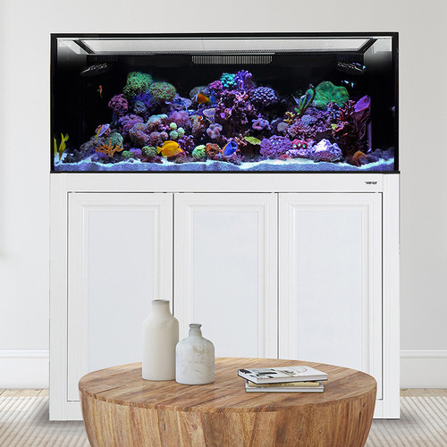 IM EXT 170 Aquarium w/ APS Stand - White (Made to Order)