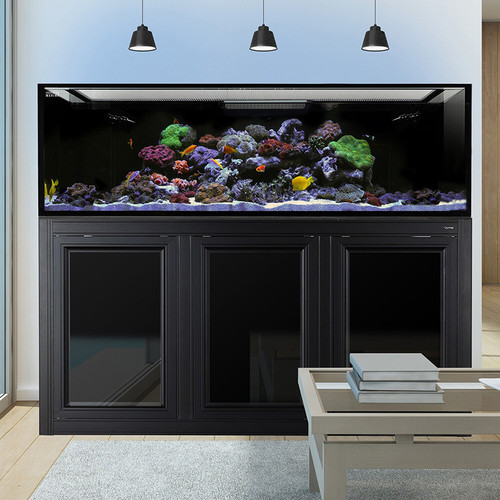 IM EXT 200 Aquarium w/ APS Stand - Black (Made to Order)