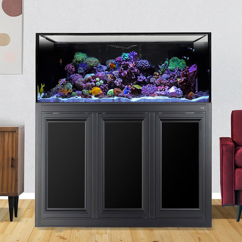 IM INT 150 Lagoon Aquarium w/ APS Stand - Black (Made to Order)