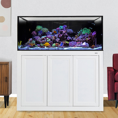 IM INT 150 Lagoon Aquarium w/ APS Stand - White (Made to Order)