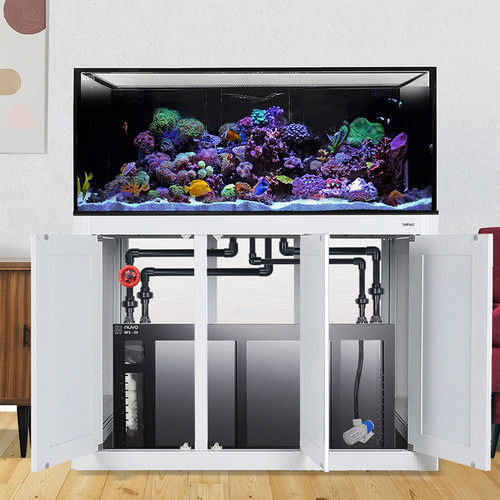 IM INT 150 Gallon Lagoon Aquarium Complete Reef System – White (Made to Order)