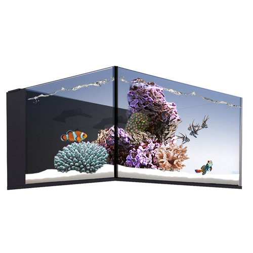 IM NUVO Fusion 25 Lagoon - Starter Kit, PLUS - AquaCave.com | AquaCave