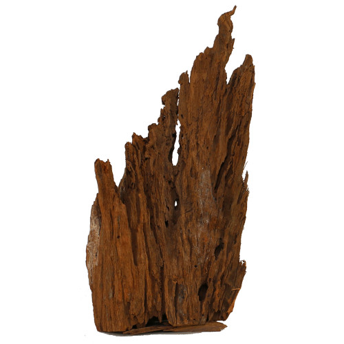 Malaysian Driftwood, Super WYSIWYG 21" x 11"