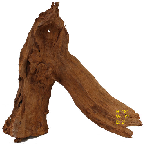 Malaysian Driftwood, Super WYSIWYG 18" x 19"