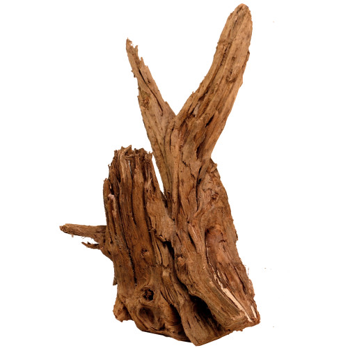 Malaysian Driftwood, Super WYSIWYG 21" x 14"