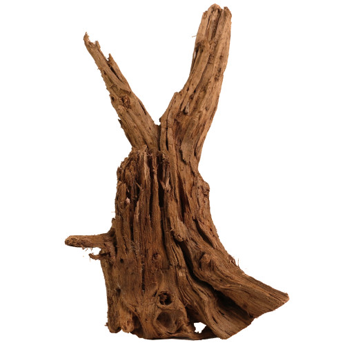 Malaysian Driftwood, Super WYSIWYG 21" x 14"