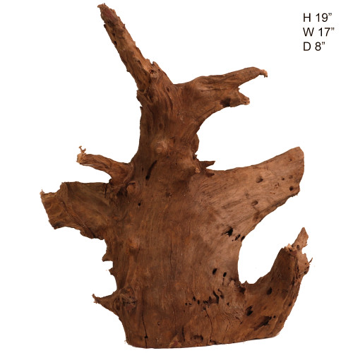 Malaysian Driftwood, Super WYSIWYG 19" x 17"