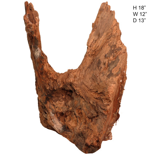 Malaysian Driftwood, Super WYSIWYG 18" x 13"