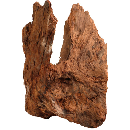Malaysian Driftwood, Super WYSIWYG 18" x 13"