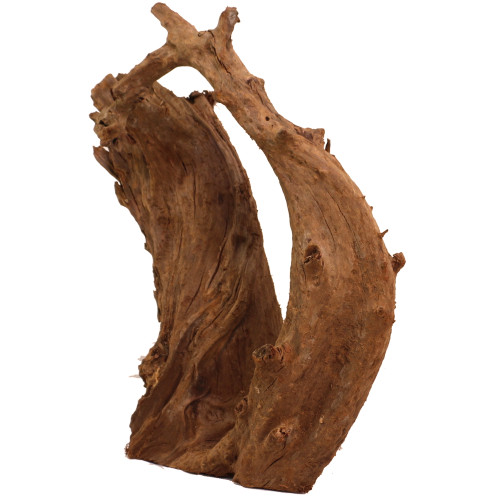 Malaysian Driftwood, Super WYSIWYG 19" x 16"