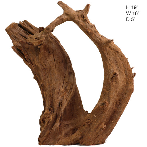 Malaysian Driftwood, Super WYSIWYG 19" x 16"