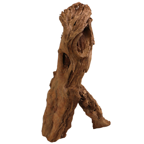 Malaysian Driftwood, Super WYSIWYG 19" x 10"