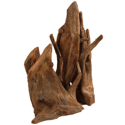 Malaysian Driftwood, Super WYSIWYG 21" x 15"