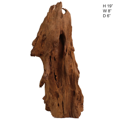 Malaysian Driftwood, Super WYSIWYG 19" x 8"