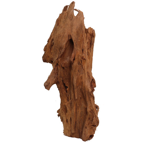 Malaysian Driftwood, Super WYSIWYG 19" x 8"