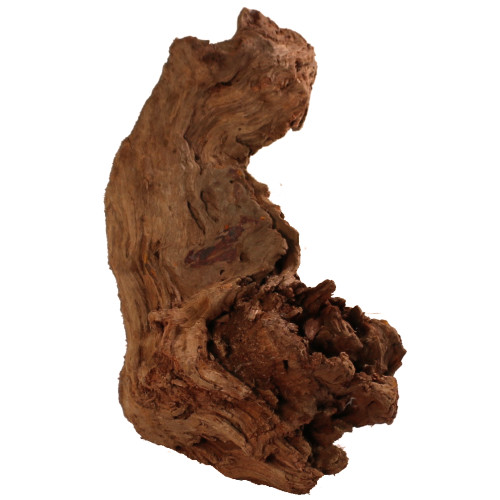 Malaysian Driftwood, Super WYSIWYG 14" x 8"