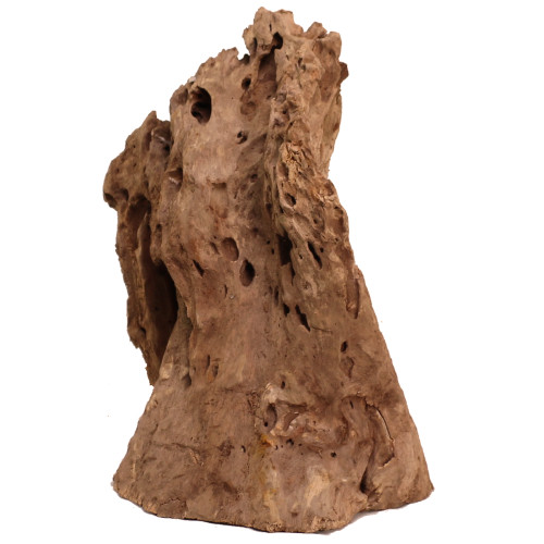 Malaysian Driftwood, Super WYSIWYG 16" x 11.5"