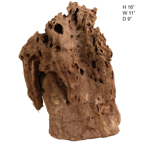 Malaysian Driftwood, Super WYSIWYG 16" x 11.5"