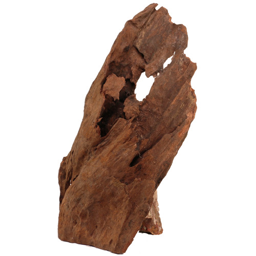 Malaysian Driftwood, Super WYSIWYG 19" x 13"