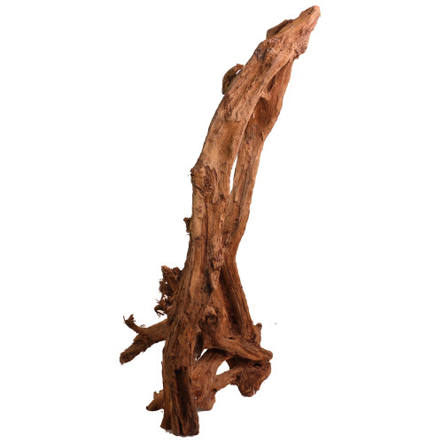 Malaysian Driftwood, Super WYSIWYG 40" x 18"