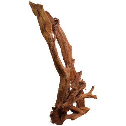 Malaysian Driftwood, Super WYSIWYG 40" x 18"
