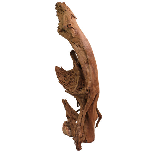 Malaysian Driftwood, Super WYSIWYG 36" x 14"