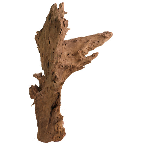 Malaysian Driftwood, Super WYSIWYG 35" x 21"