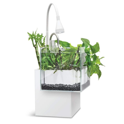 Fluval Kuhl Aquarium Kit, White