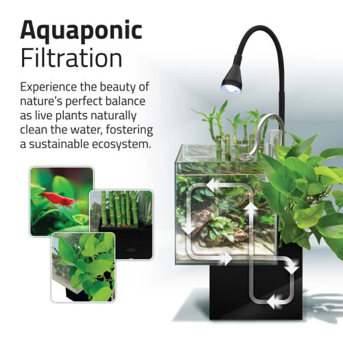 Fluval Kuhl Aquarium Kit, Black