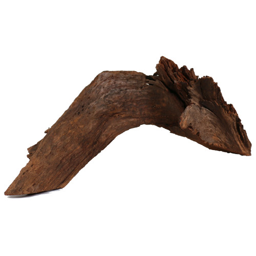 Malaysian Driftwood, Super WYSIWYG 15" x 38"