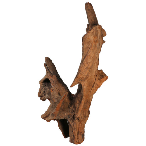 Malaysian Driftwood, Super WYSIWYG 35" x 21"