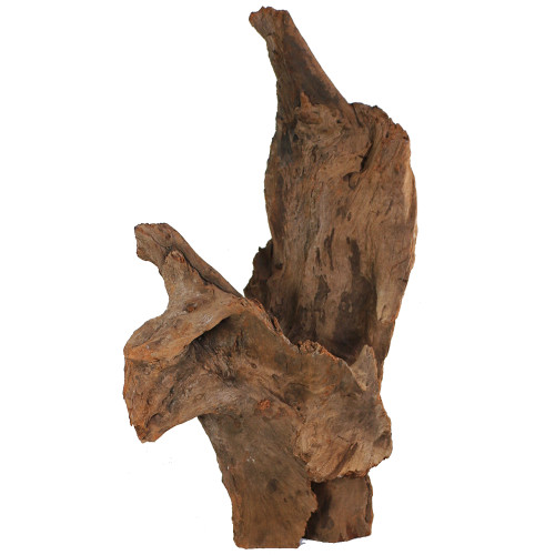 Malaysian Driftwood, Super WYSIWYG 35" x 21"
