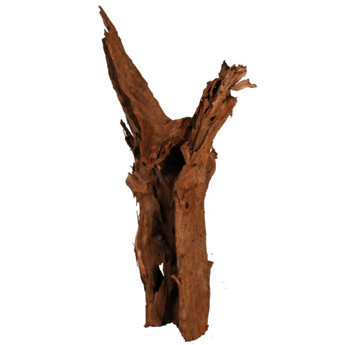 Malaysian Driftwood, Super WYSIWYG 37" x 18"