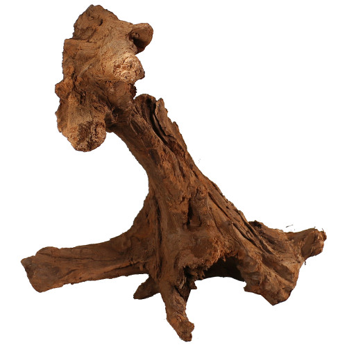 Malaysian Driftwood, Super WYSIWYG 25" x 35"