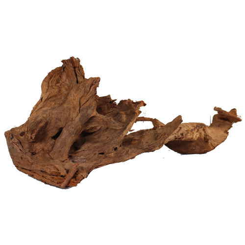 Malaysian Driftwood, Super WYSIWYG 16" x 41"
