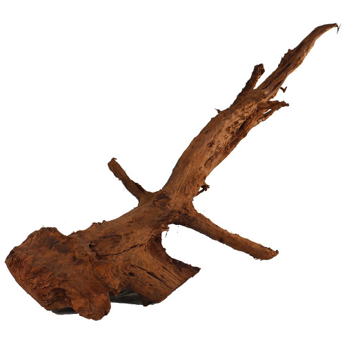 Malaysian Driftwood, Super WYSIWYG 26" x 39"