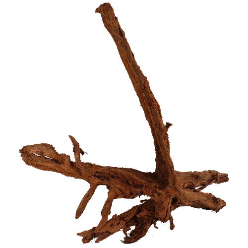 Malaysian Driftwood, Super WYSIWYG 29" x 36"